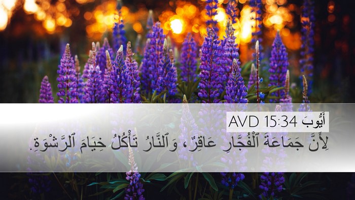 أَيُّوبَ 15:34 AVD Bible Verse Image