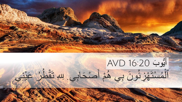 أَيُّوبَ 16:20 AVD Bible Verse Image