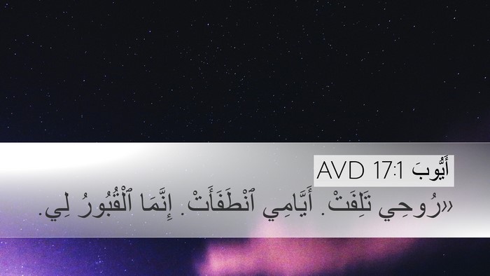 أَيُّوبَ 17:1 AVD Bible Verse Image