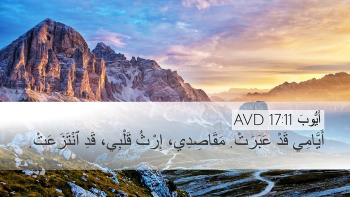 أَيُّوبَ 17:11 AVD Bible Verse Image