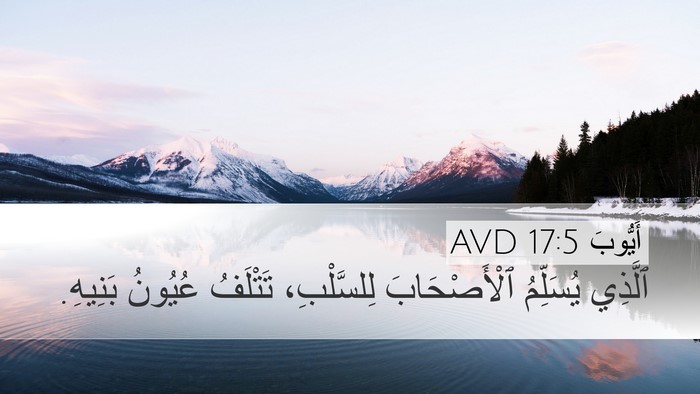 أَيُّوبَ 17:5 AVD Bible Verse Image