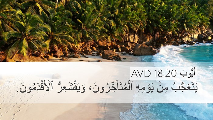 أَيُّوبَ 18:20 AVD Bible Verse Image