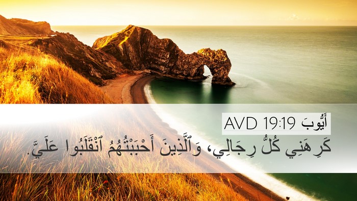 أَيُّوبَ 19:19 AVD Bible Verse Image