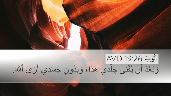 أَيُّوبَ 19:26 AVD Bible Verse Image