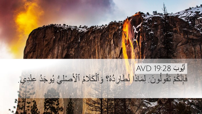 أَيُّوبَ 19:28 AVD Bible Verse Image