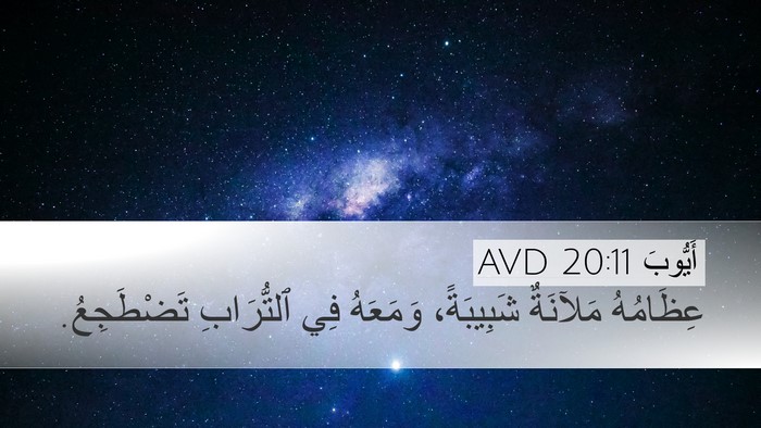 أَيُّوبَ 20:11 AVD Bible Verse Image