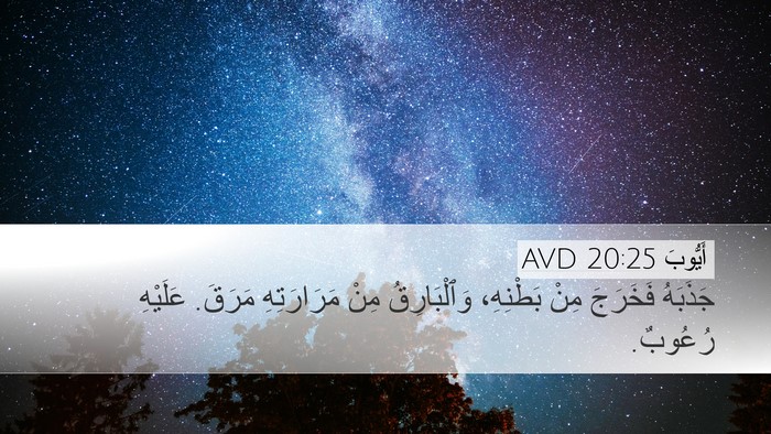أَيُّوبَ 20:25 AVD Bible Verse Image