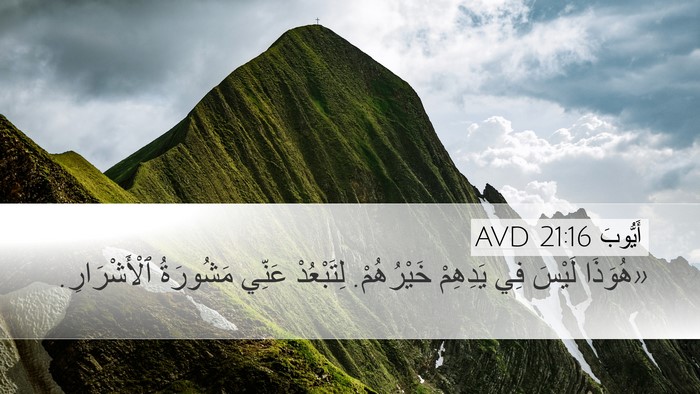 أَيُّوبَ 21:16 AVD Bible Verse Image