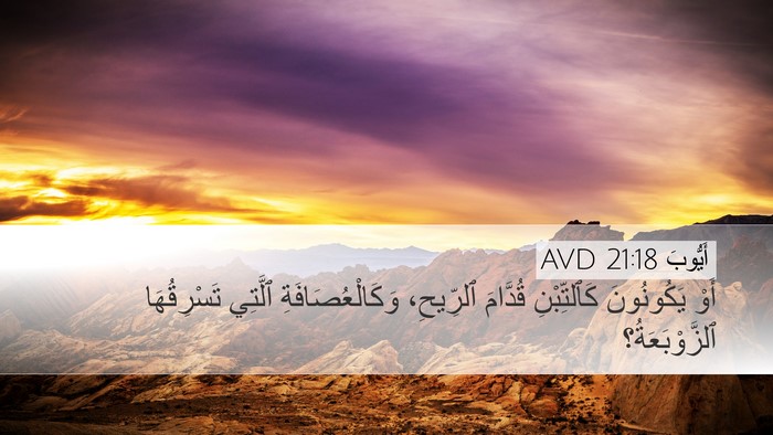 أَيُّوبَ 21:18 AVD Bible Verse Image