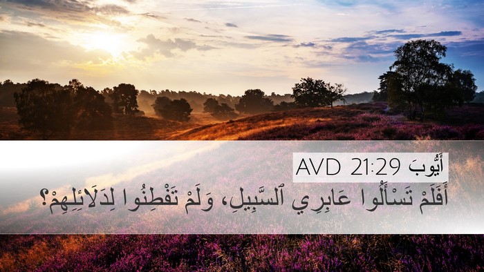 أَيُّوبَ 21:29 AVD Bible Verse Image