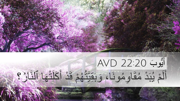 أَيُّوبَ 22:20 AVD Bible Verse Image