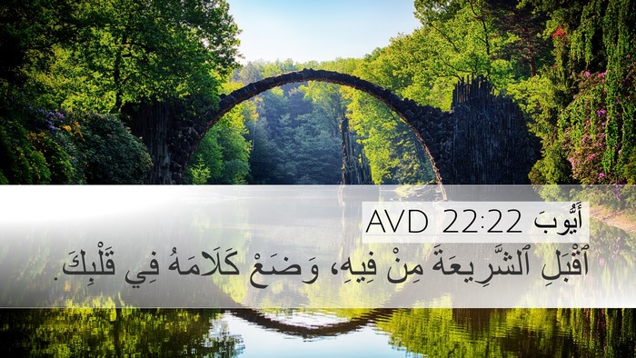 أَيُّوبَ 22:22 AVD Bible Verse Image