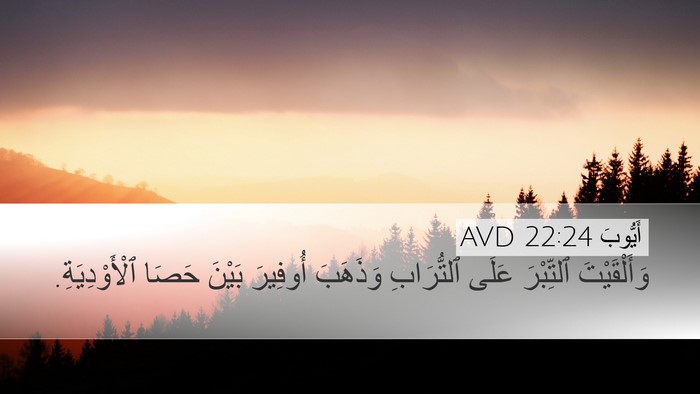 أَيُّوبَ 22:24 AVD Bible Verse Image