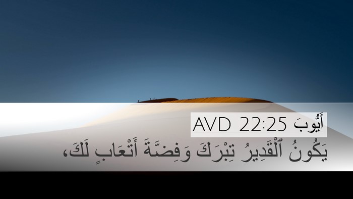أَيُّوبَ 22:25 AVD Bible Verse Image