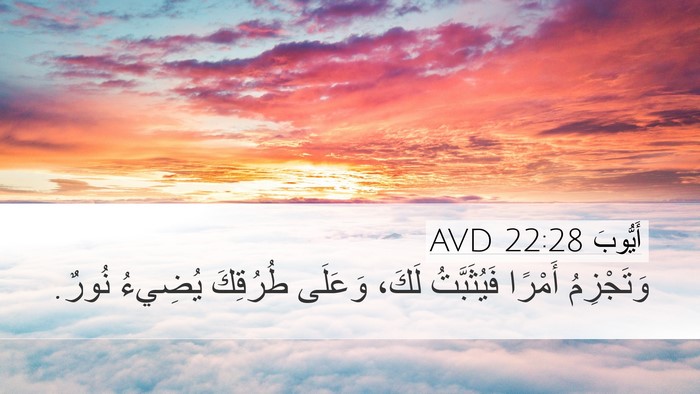 أَيُّوبَ 22:28 AVD Bible Verse Image