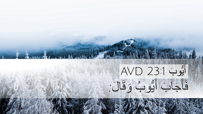 أَيُّوبَ 23:1 AVD Desktop Wallpaper - فَأَجَابَ أَيُّوبُ - Desktop Bible Verse Wallpaper