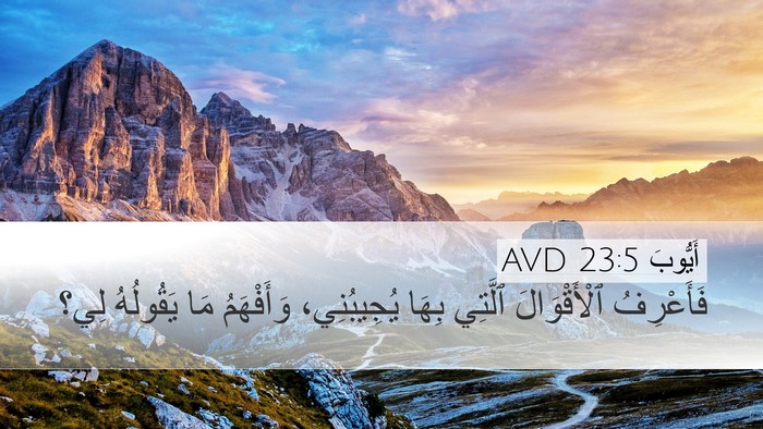 أَيُّوبَ 23:5 AVD Bible Verse Image