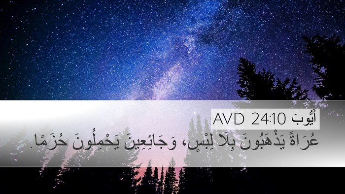أَيُّوبَ 24:10 AVD Bible Verse Image