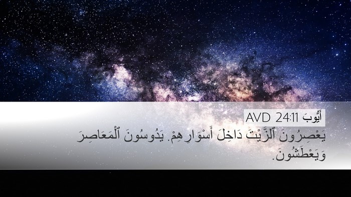 أَيُّوبَ 24:11 AVD Bible Verse Image