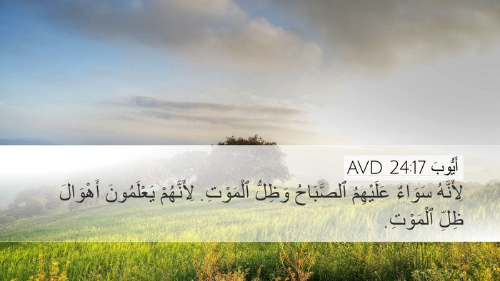 أَيُّوبَ 24:17 AVD Bible Verse Image