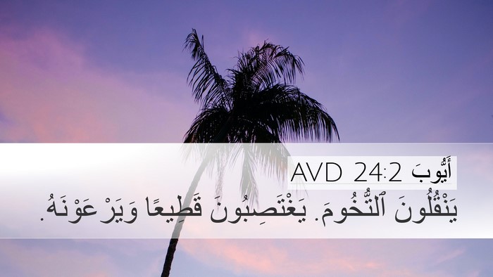أَيُّوبَ 24:2 AVD Bible Verse Image