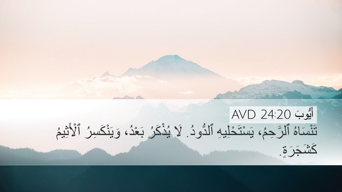 أَيُّوبَ 24:20 AVD Bible Verse Image