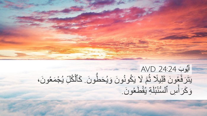 أَيُّوبَ 24:24 AVD Bible Verse Image