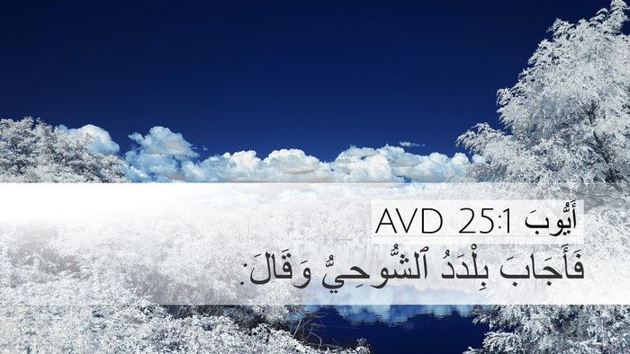 أَيُّوبَ 25:1 AVD Bible Verse Image