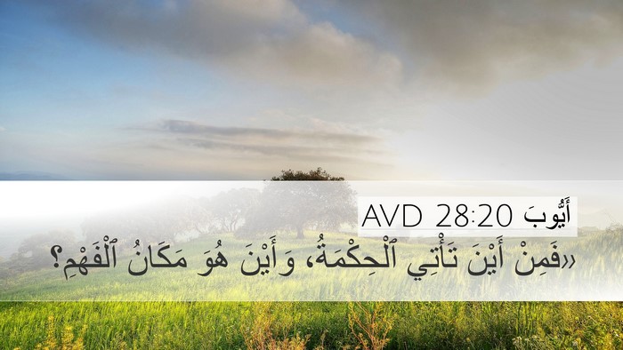 أَيُّوبَ 28:20 AVD Bible Verse Image