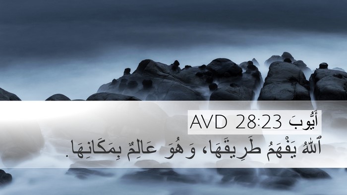 أَيُّوبَ 28:23 AVD Desktop Wallpaper - ٱللهُ يَفْهَمُ - Desktop Bible Verse Wallpaper