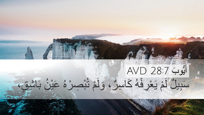 أَيُّوبَ 28:7 AVD Bible Verse Image