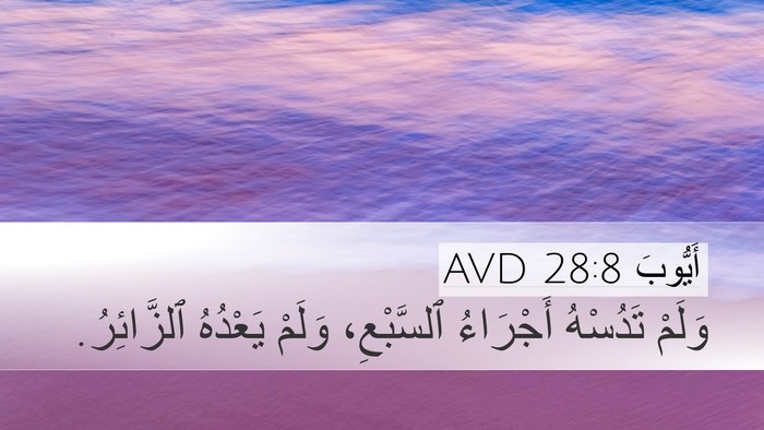 أَيُّوبَ 28:8 AVD Desktop Wallpaper - وَلَمْ تَدُسْهُ أَجْرَاءُ - Desktop Bible Verse Wallpaper