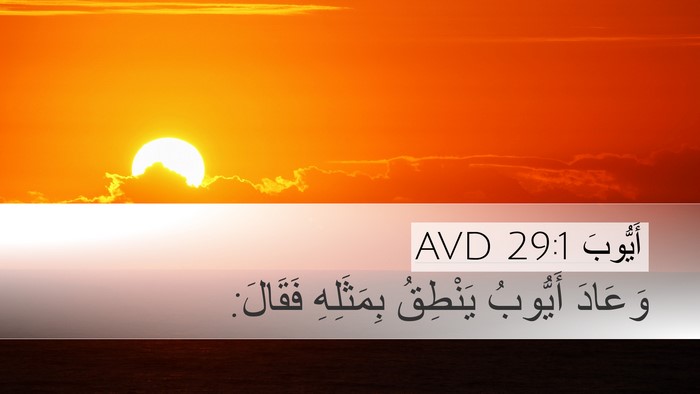 أَيُّوبَ 29:1 AVD Bible Verse Image