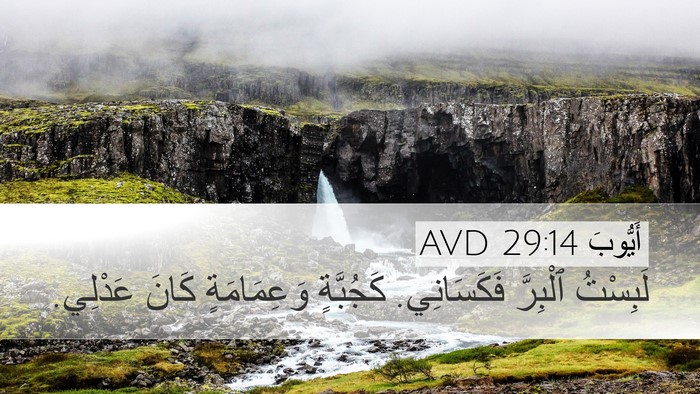 أَيُّوبَ 29:14 AVD Bible Verse Image