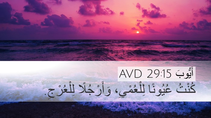 أَيُّوبَ 29:15 AVD Bible Verse Image