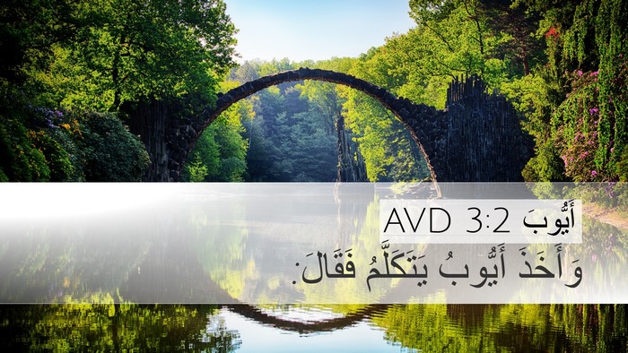 أَيُّوبَ 3:2 AVD Desktop Wallpaper - وَأَخَذَ أَيُّوبُ - Desktop Bible Verse Wallpaper
