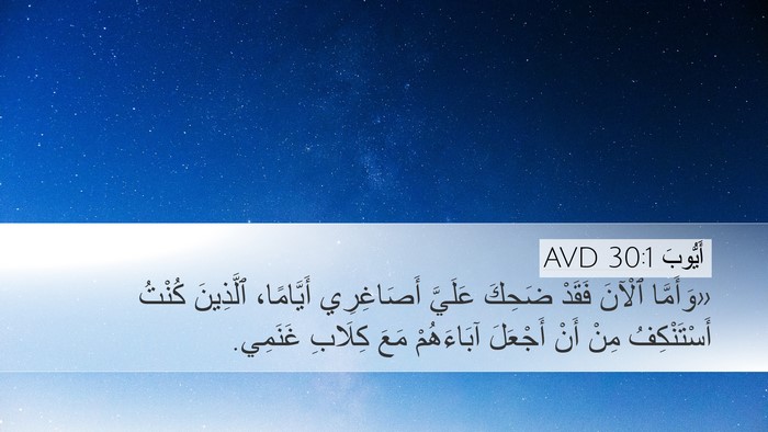 أَيُّوبَ 30:1 AVD Bible Verse Image