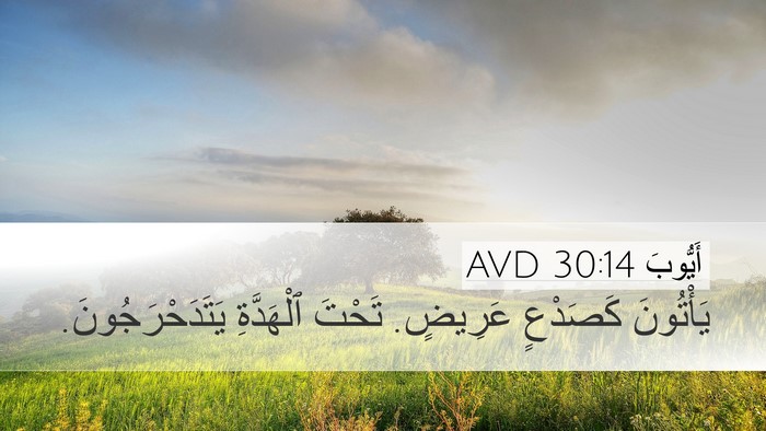 أَيُّوبَ 30:14 AVD Bible Verse Image