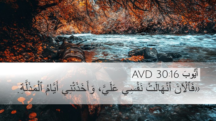 أَيُّوبَ 30:16 AVD Bible Verse Image
