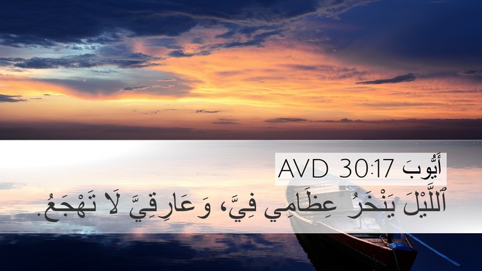 أَيُّوبَ 30:17 AVD Bible Verse Image
