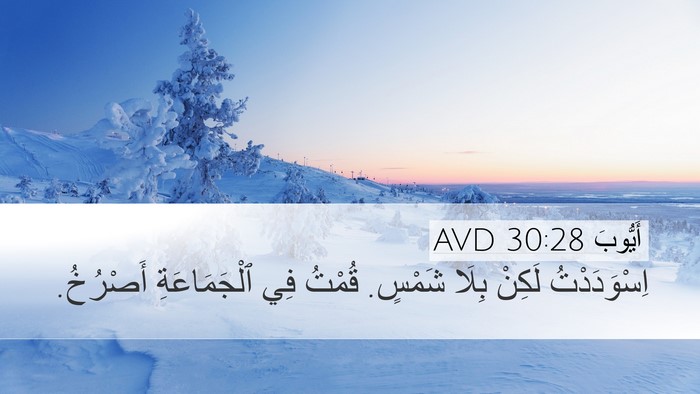 أَيُّوبَ 30:28 AVD Bible Verse Image