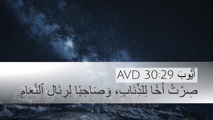 أَيُّوبَ 30:29 AVD Bible Verse Image