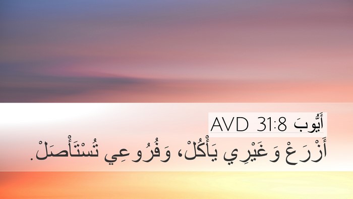 أَيُّوبَ 31:8 AVD Bible Verse Image