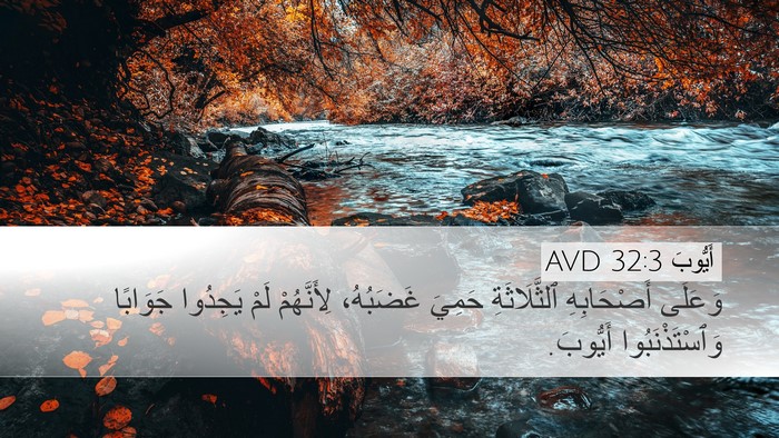 أَيُّوبَ 32:3 AVD Bible Verse Image