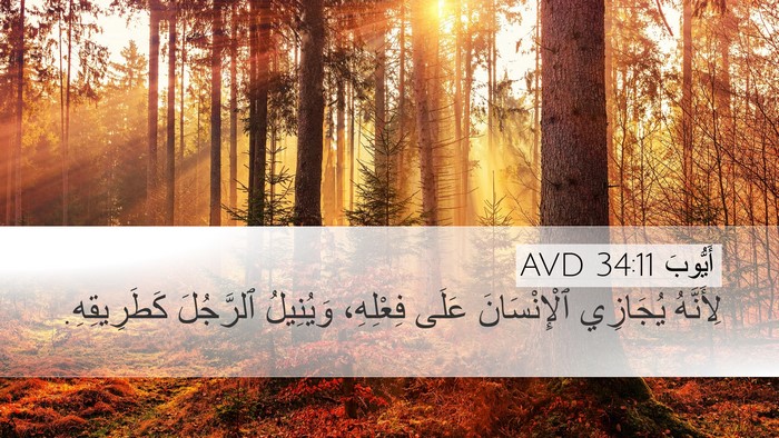 أَيُّوبَ 34:11 AVD Bible Verse Image