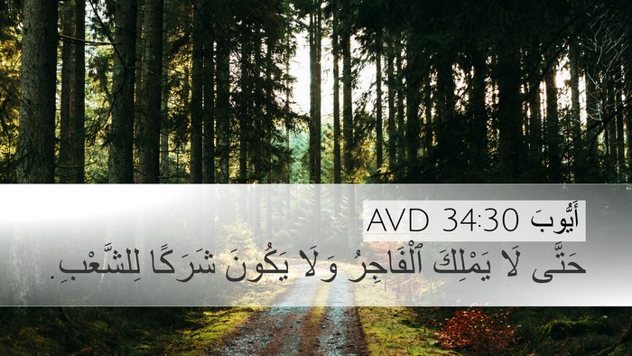 أَيُّوبَ 34:30 AVD Bible Verse Image