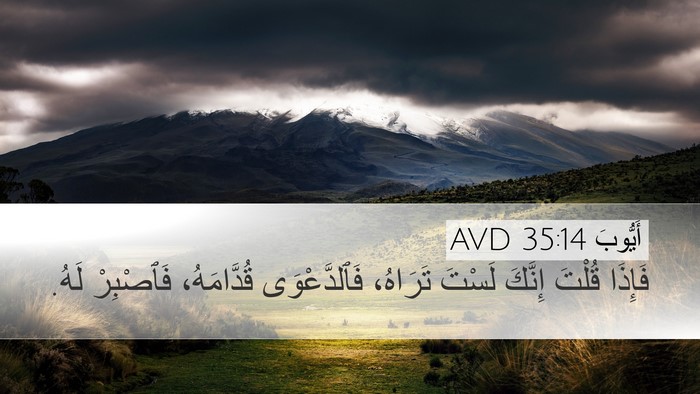 أَيُّوبَ 35:14 AVD Bible Verse Image