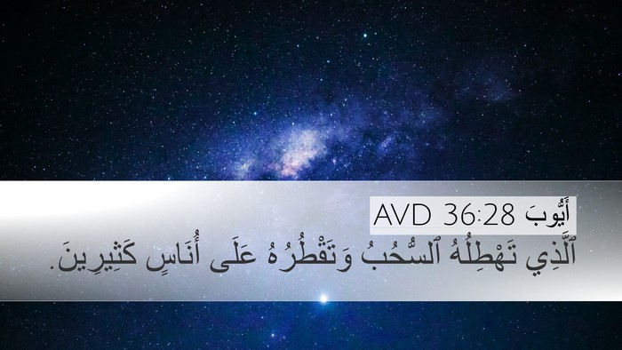 أَيُّوبَ 36:28 AVD Desktop Wallpaper - ٱلَّذِي تَهْطِلُهُ - Desktop Bible Verse Wallpaper