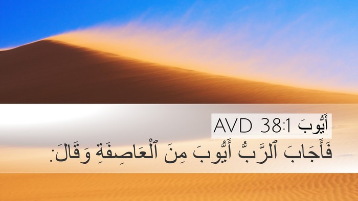 أَيُّوبَ 38:1 AVD Bible Verse Image