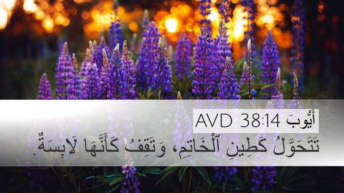 أَيُّوبَ 38:14 AVD Desktop Wallpaper - تَتَحَوَّلُ كَطِينِ - Desktop Bible Verse Wallpaper